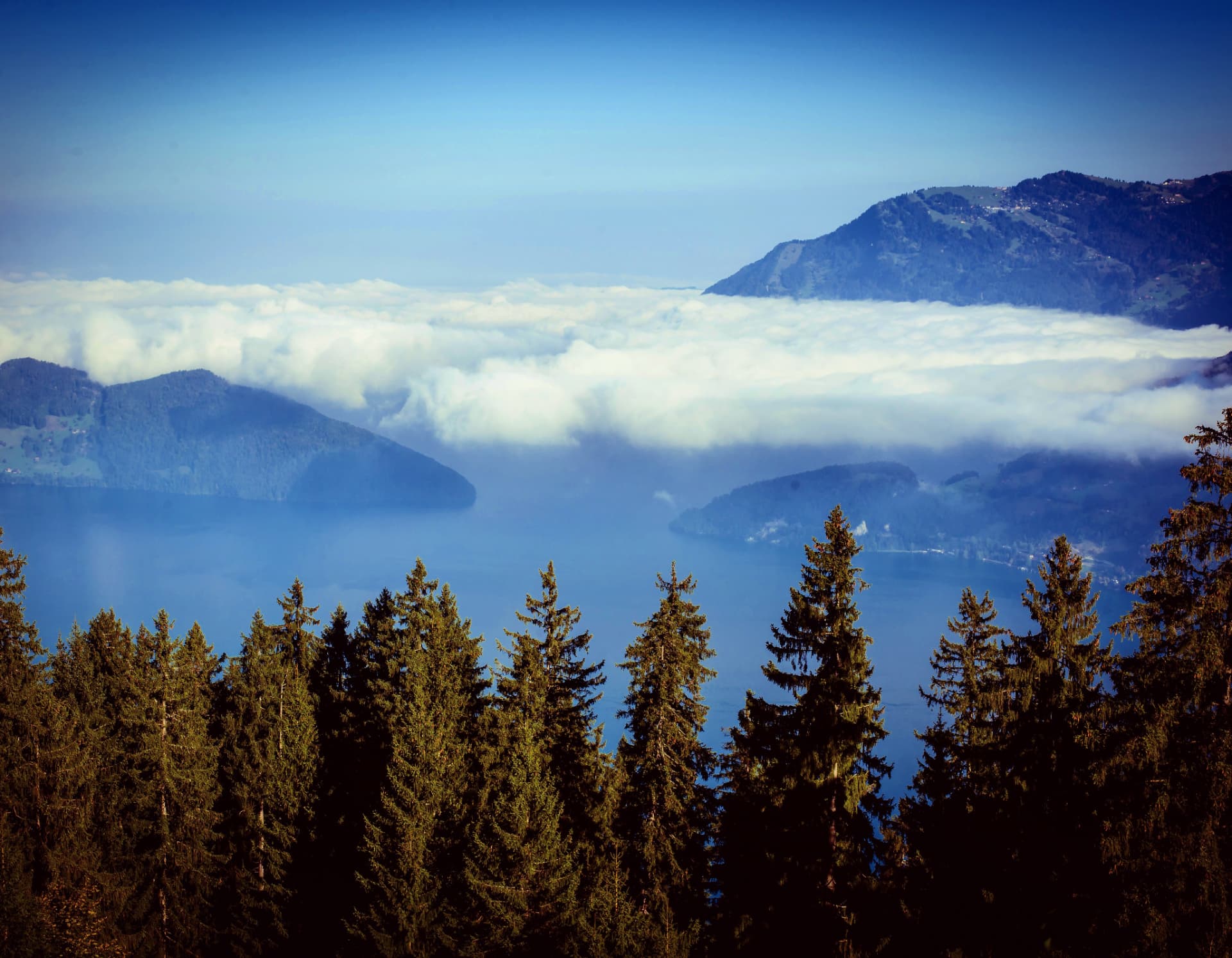 A sea of clouds over the lake, Lake Lucerne, Switzerland
